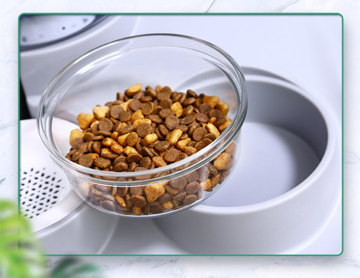 Automatic Water Feeder and Food Bowl