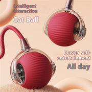 Electric Automatic Cat Ball