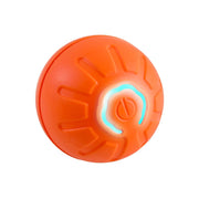 Electronic Dog Ball