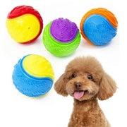 Dog Ball Toy