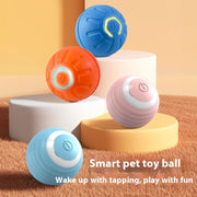 Electronic Dog Ball