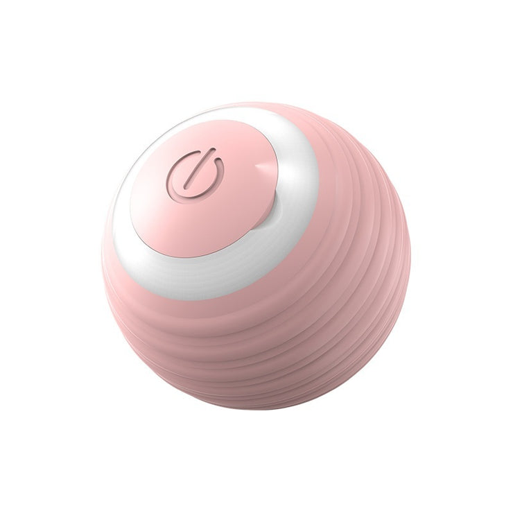 Electronic Dog Ball