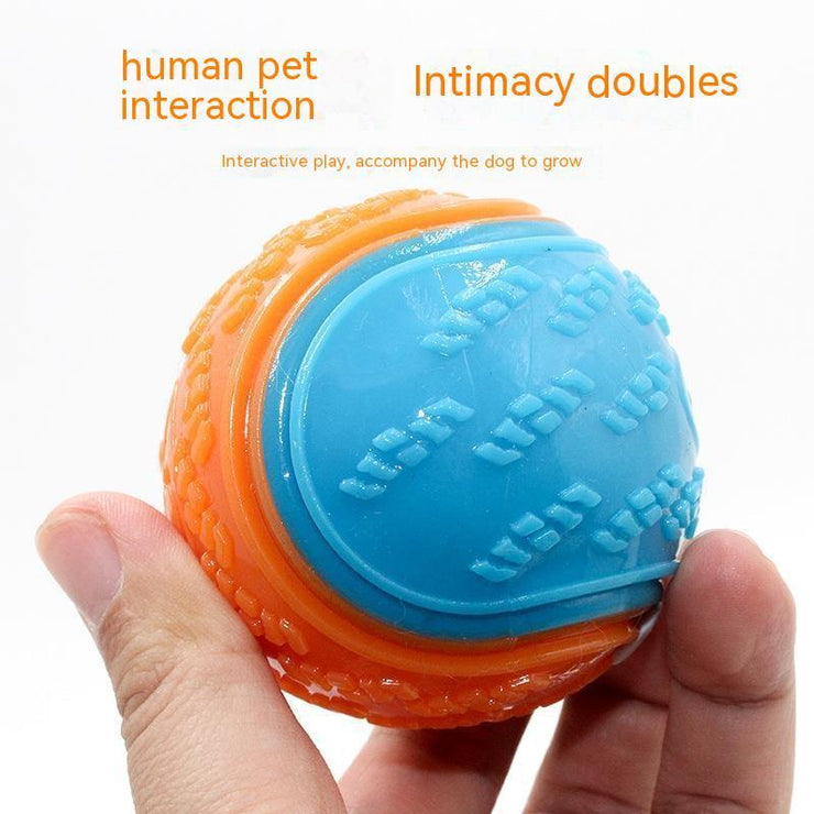 Dog Ball Toy