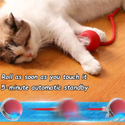 interactive moving cat ball