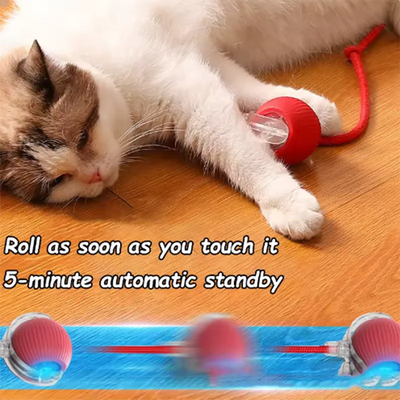 interactive moving cat ball