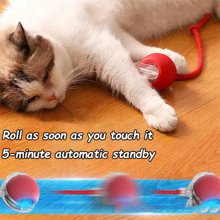 interactive moving cat ball