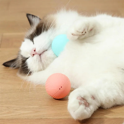 Electronic Interactive Dog Ball