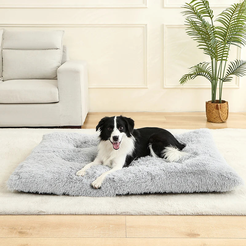 Donut Plush Pet Bed