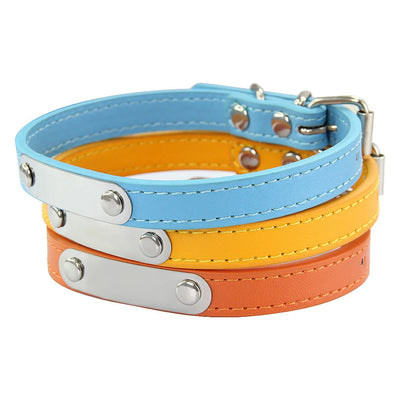 engraved ID pet collar