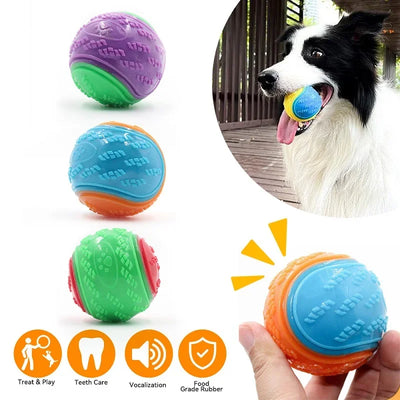 squeaky rubber dog ball