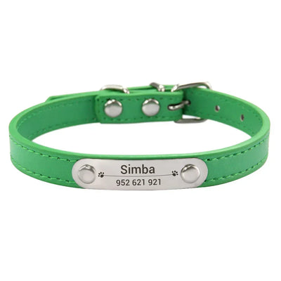 Green dog collar with a nameplate
