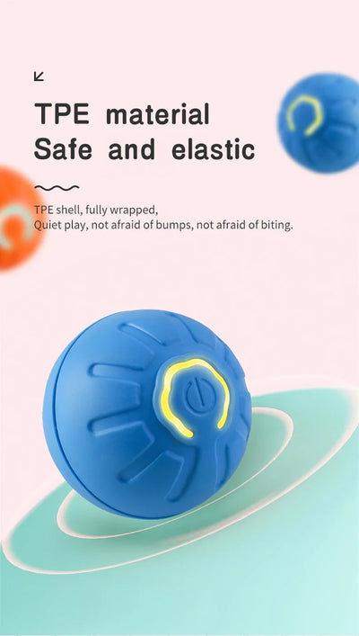 auto-moving pet ball