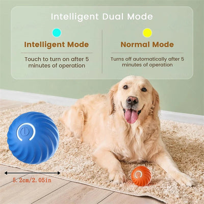 self-rolling dog ball for playtime