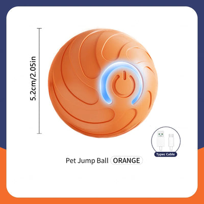 Electronic Interactive Dog Ball