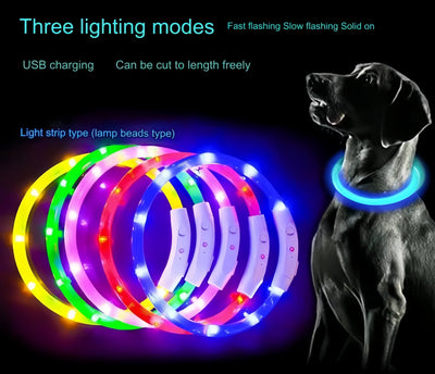 glow dog collar in multiple colors