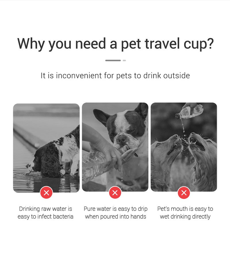 Leakproof Portable Pet Water Bottle