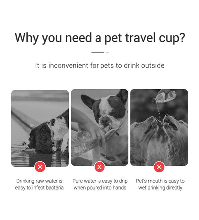 Leakproof Portable Pet Water Bottle