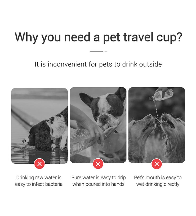 Leakproof Portable Pet Water Bottle
