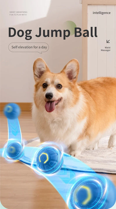 smart motion dog toy ball