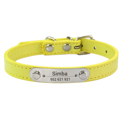 engraved ID pet collar