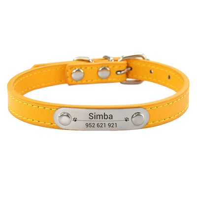 Yellow dog collar with a silver nameplate 