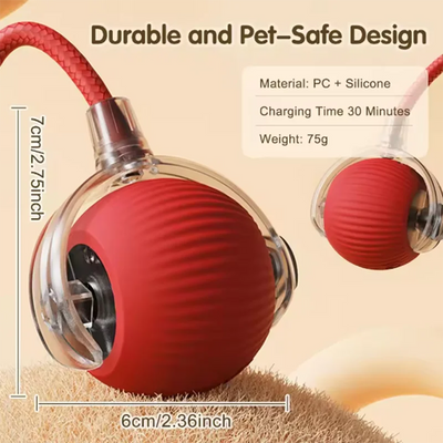 interactive moving cat ball