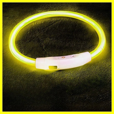 LED Glow Dog Collar
