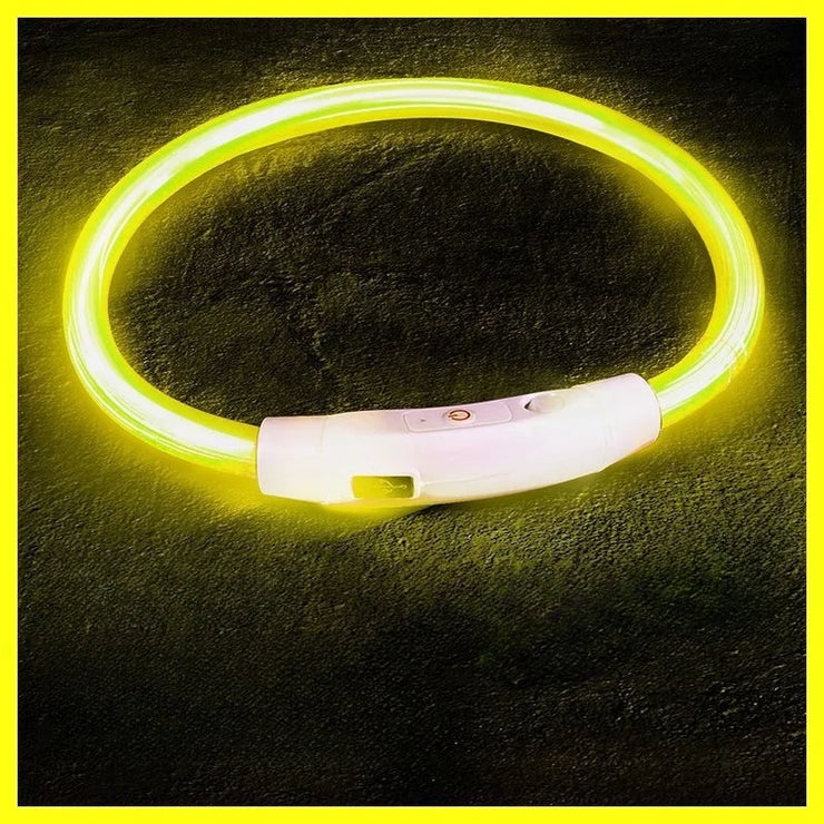 LED Glow Dog Collar