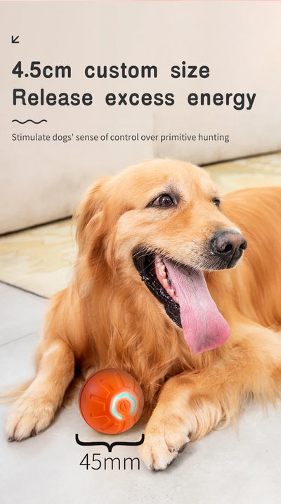 interactive rolling ball for dogs