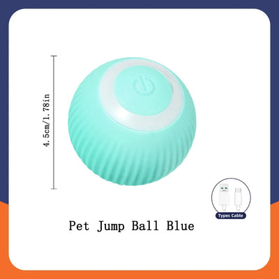 Electronic Interactive Dog Ball