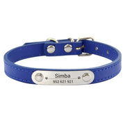 engraved ID pet collar