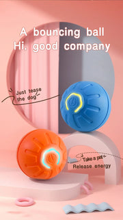 smart motion dog toy ball