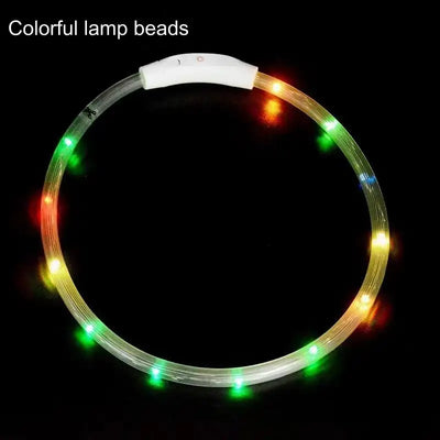 rechargeable led dog collar glowing at night