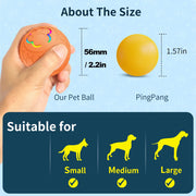 interactive dog and cat toy ball