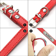 personalized pet safety collar