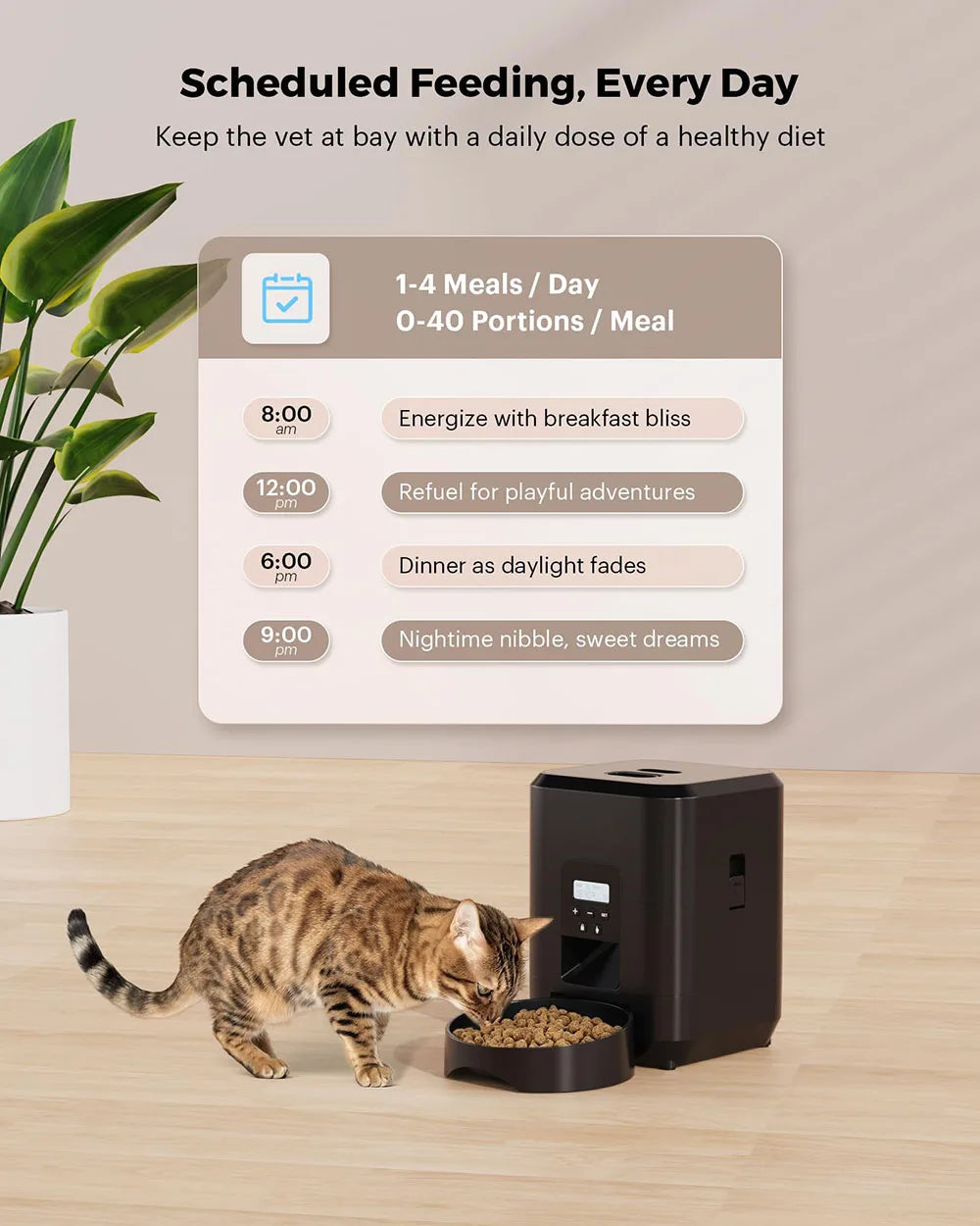 smart pet feeder with digital display