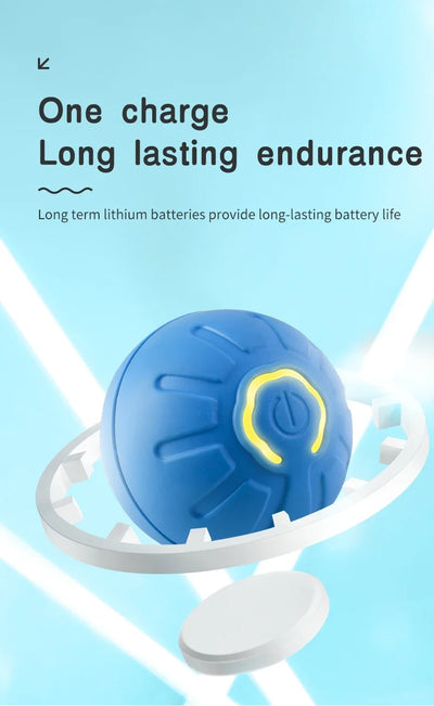 smart motion dog toy ball