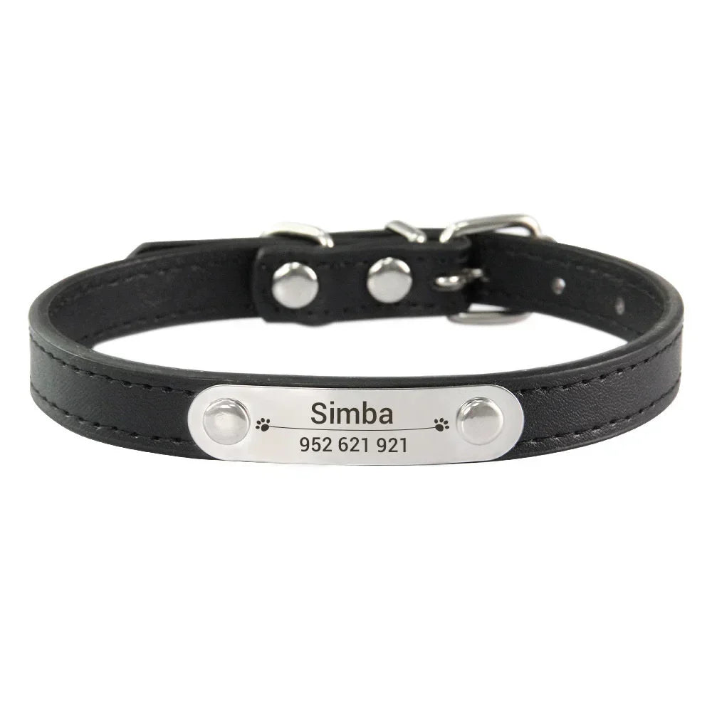 personalized pet safety collar