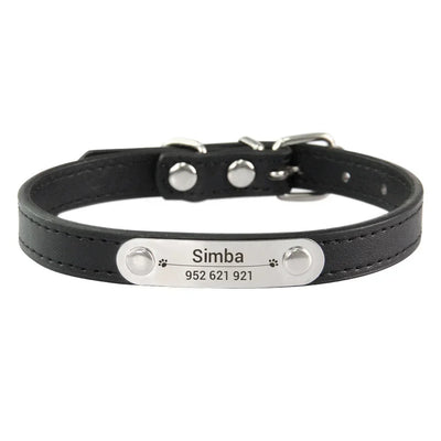personalized pet safety collar