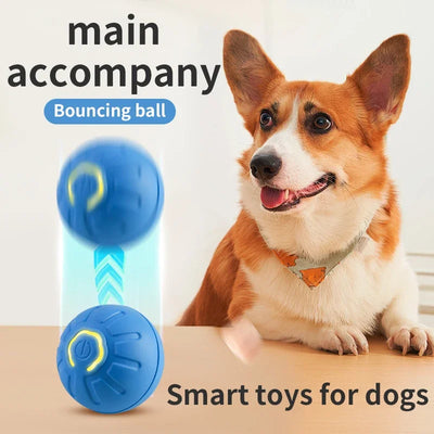 smart motion dog toy ball