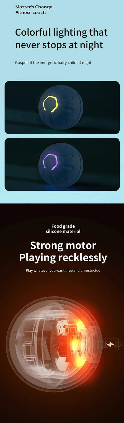 Electronic Interactive Dog Ball