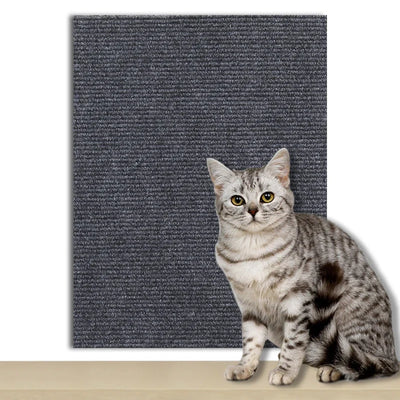 Cat Scratch Pad