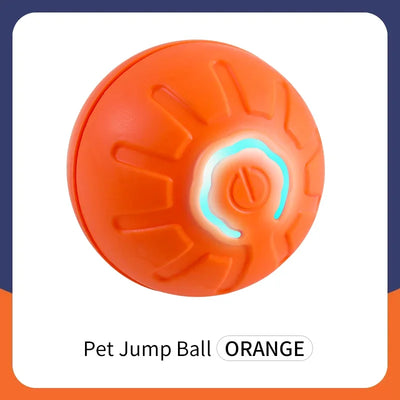 interactive rolling ball for dogs