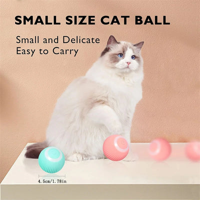 Electronic Interactive Dog Ball