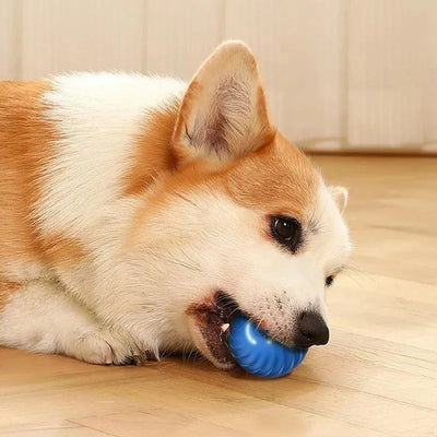 Electronic Interactive Dog Ball