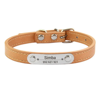 custom dog collar with name