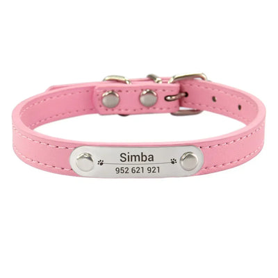 Personalized Engraved ID Dog Collar