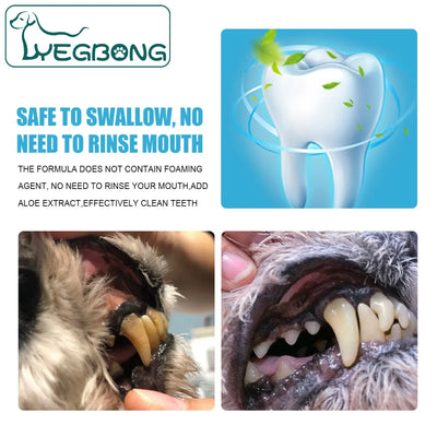 dog and cat dental care