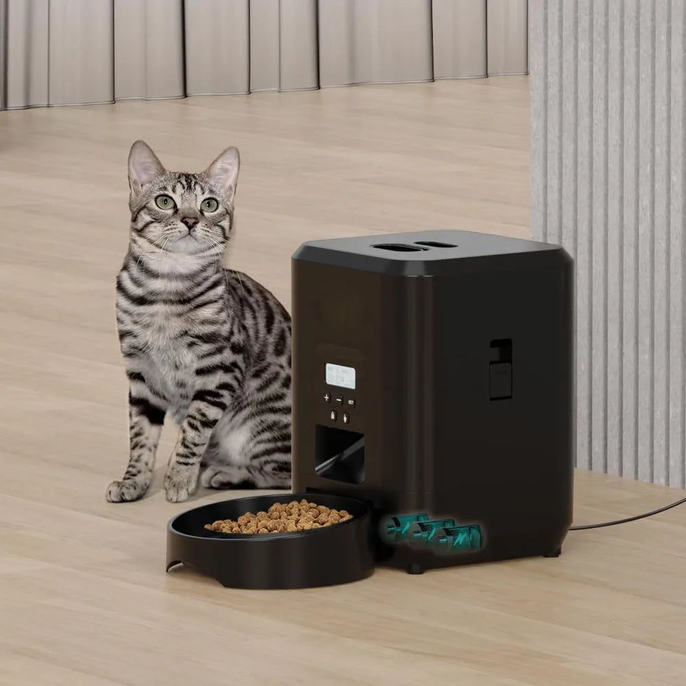 smart pet feeder with digital display
