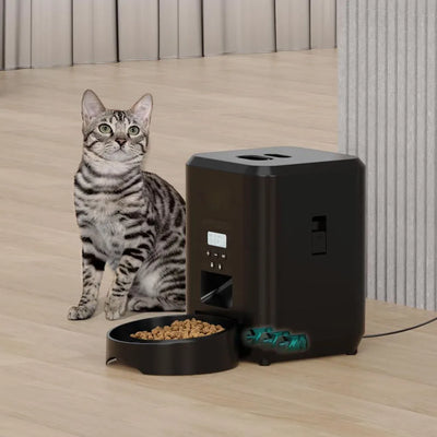 smart pet feeder with digital display